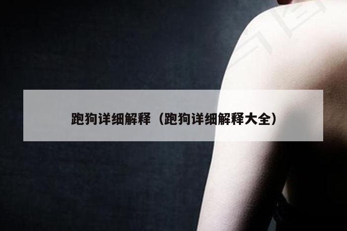 跑狗详细解释（跑狗详细解释大全）