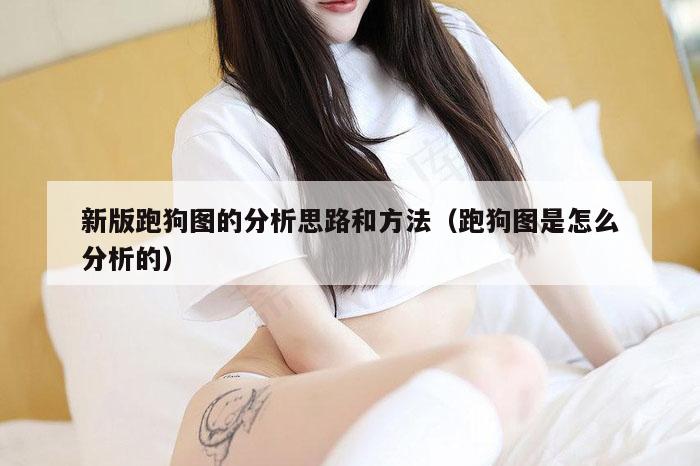 新版跑狗图的分析思路和方法（跑狗图是怎么分析的）