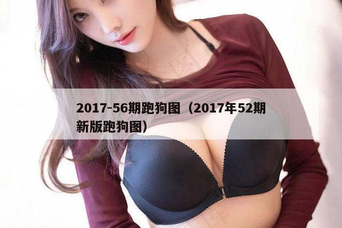 2017-56期跑狗图（2017年52期新版跑狗图）