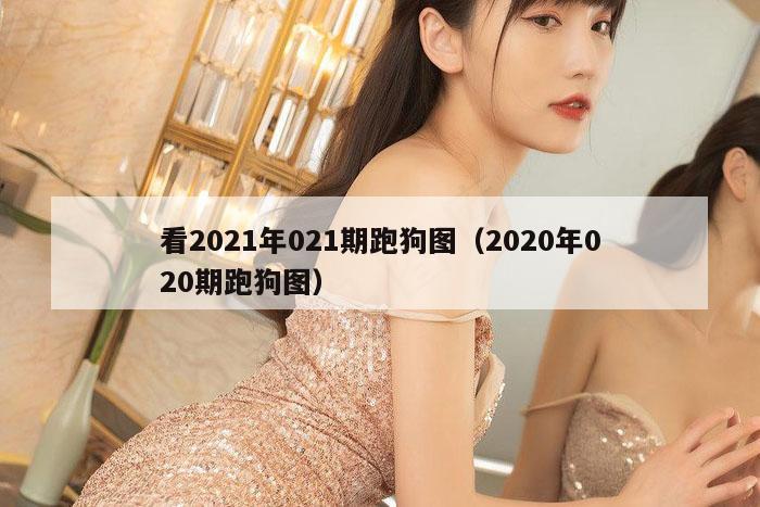 看2021年021期跑狗图（2020年020期跑狗图）